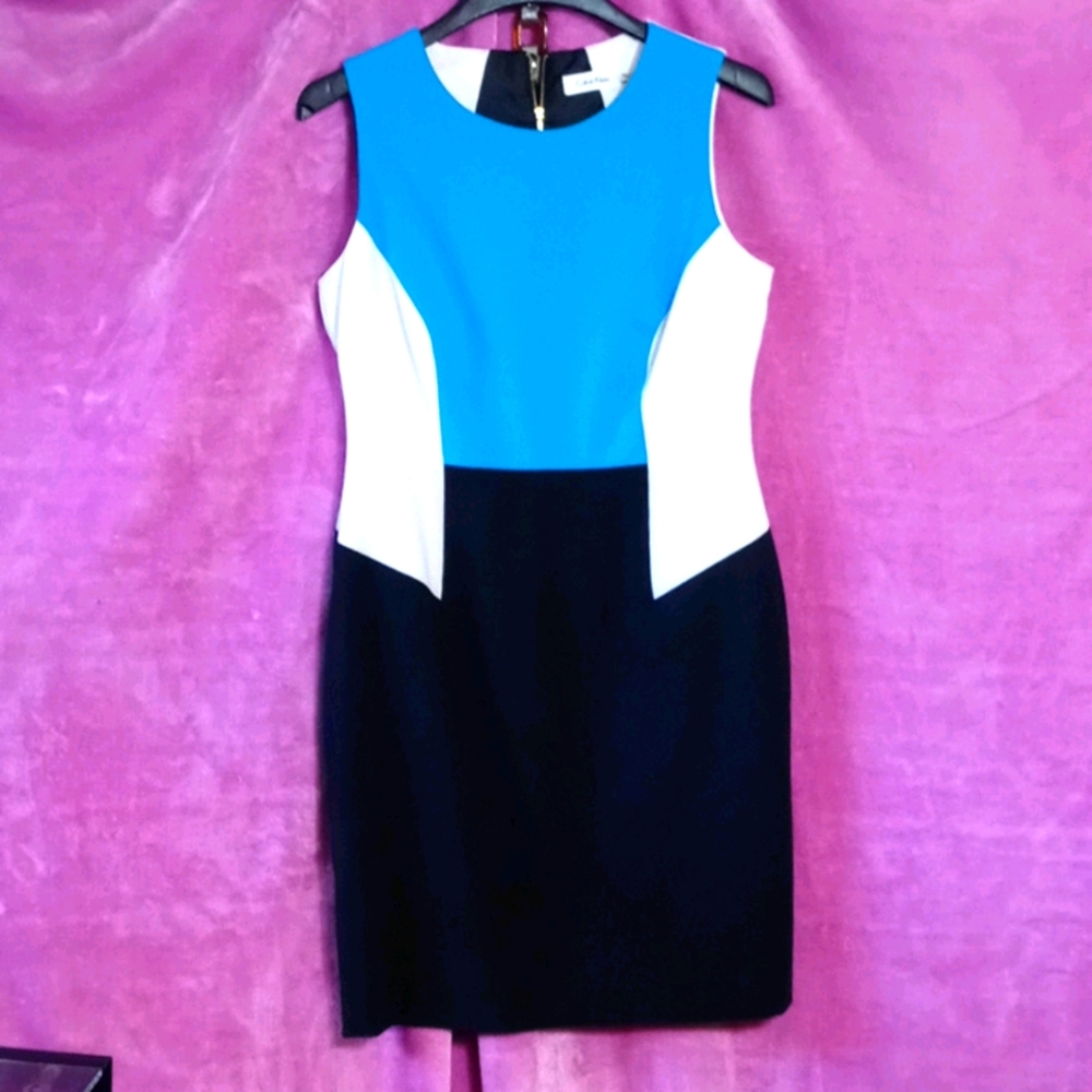 Calvin Klein Colorblocked Sheath Dress Sz. 12 P
